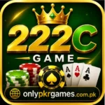 222C Game