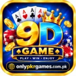 9D Game
