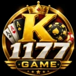 K1177 Game