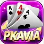 PKAVIA Game